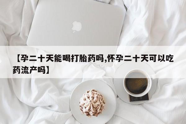 网上米非司酮在线下单微信【孕二十天能喝打胎药吗,怀孕二十天可以吃药流产吗】