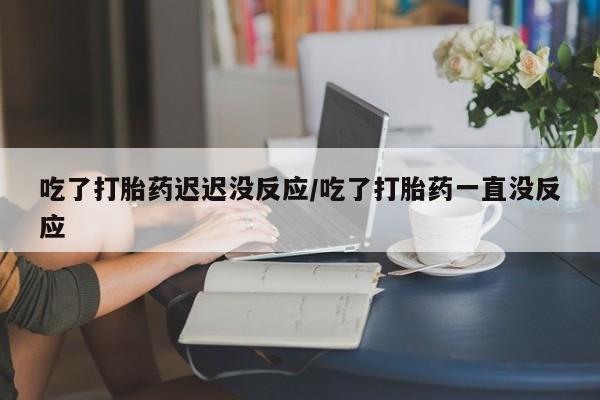 网上米非司酮在线下单微信吃了打胎药迟迟没反应/吃了打胎药一直没反应