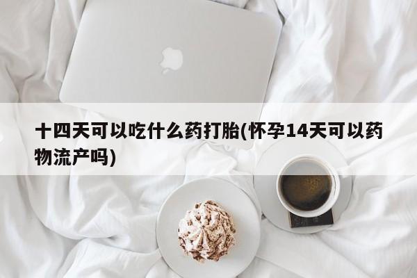 网上米非司酮在线下单微信十四天可以吃什么药打胎(怀孕14天可以药物流产吗)